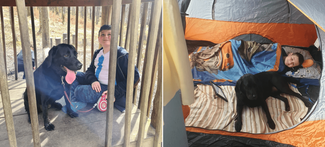 Photos of Eevee camping with her owners